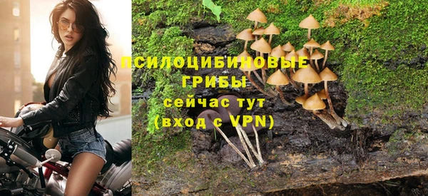 spice Балахна